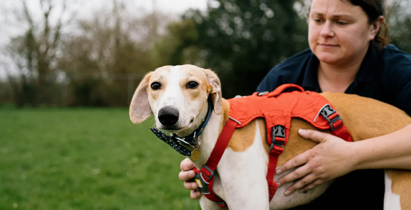Email favourites - charity news image