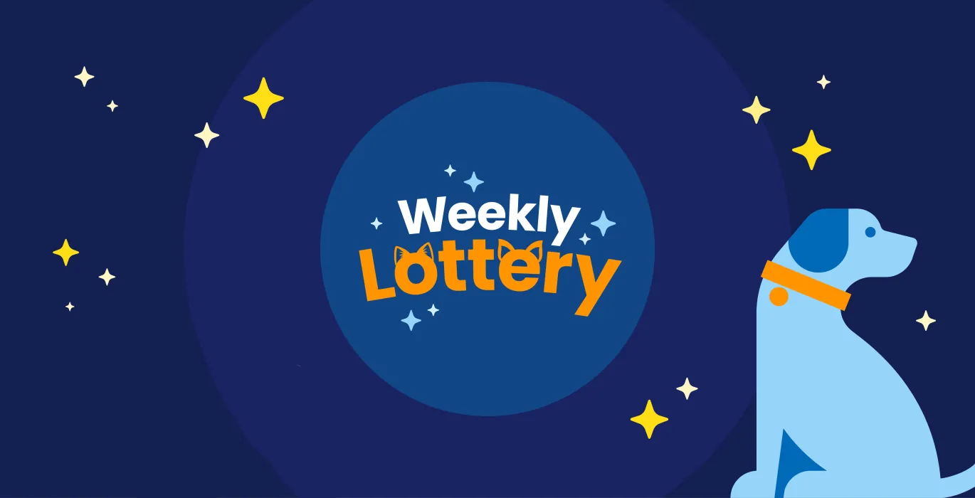 BCDH Weekly Lottery image