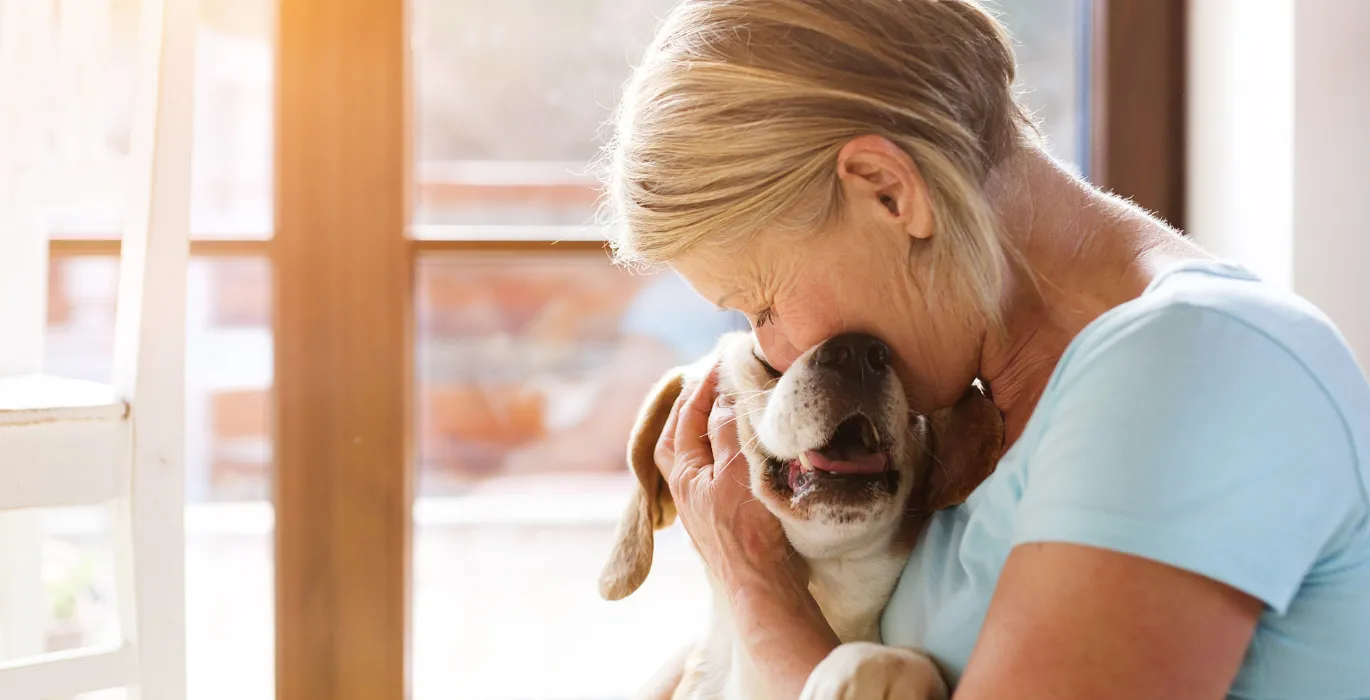 Why adopt? image