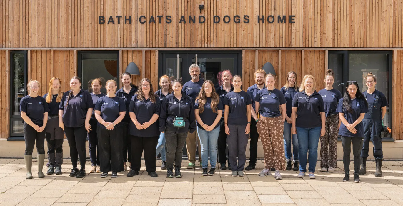 Meet the team image
