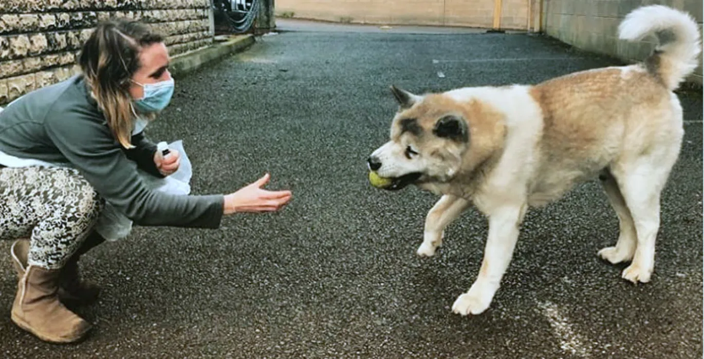 The Together Project image