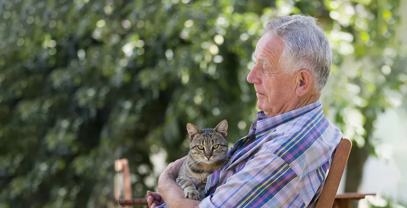 Legacies and in memory giving image