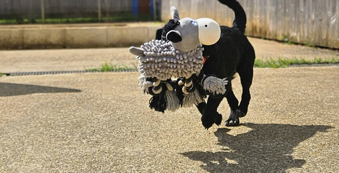 Keep receiving emails image