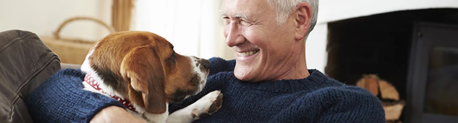 Why adopt? image