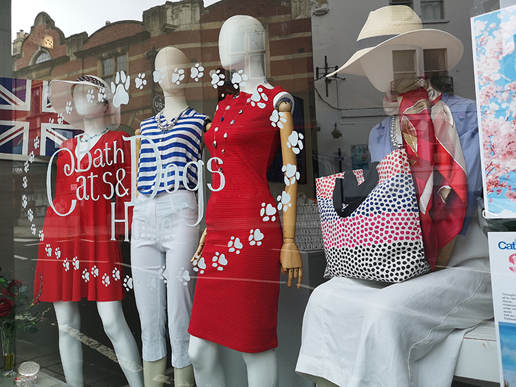 Bradford on Avon Charity Shop