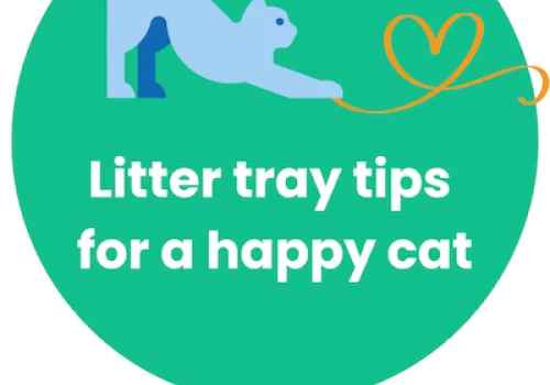LitterTrayTips CatCare