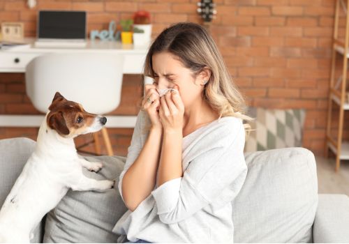 Living with pets and allergies image