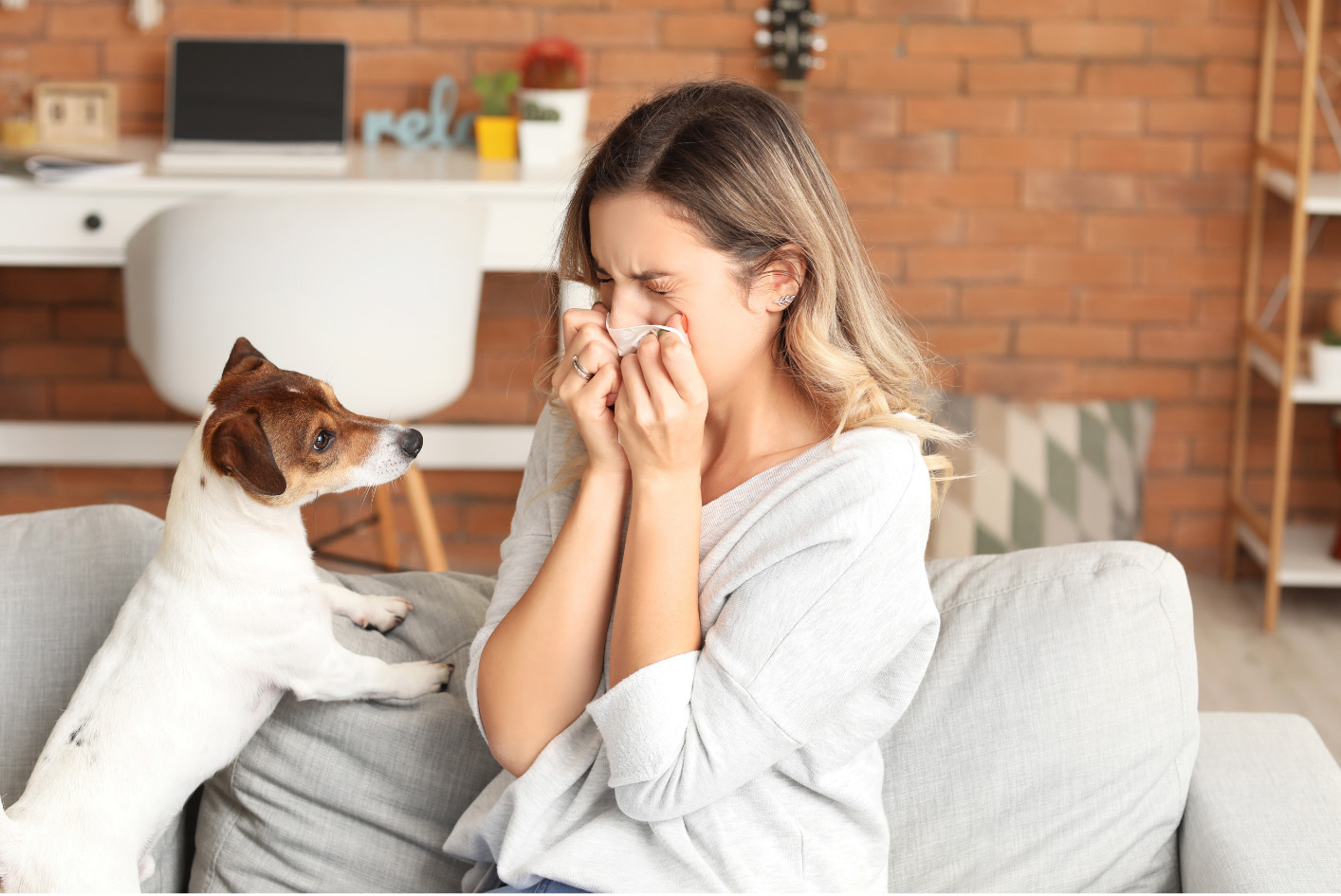 Living with pets and allergies image