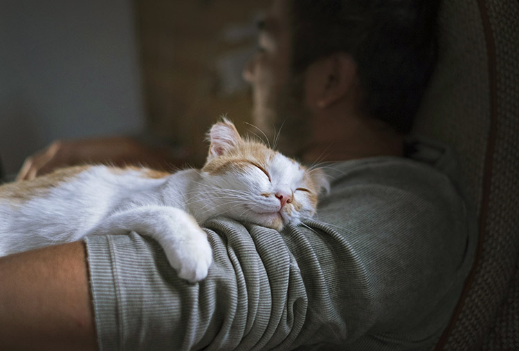 Happy cat with their owner