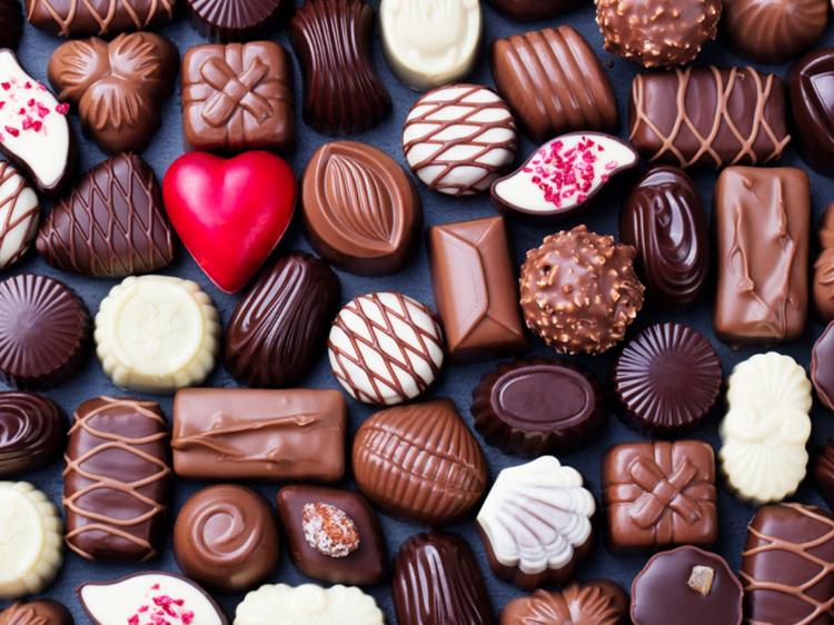 Chocolate and pets