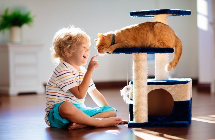Happy Cats, Happy Kids image